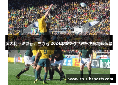 澳大利亚逆袭新西兰夺冠 2024年橄榄球世界杯决赛精彩落幕
