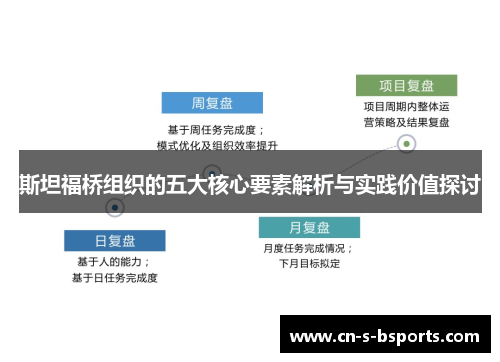 斯坦福桥组织的五大核心要素解析与实践价值探讨